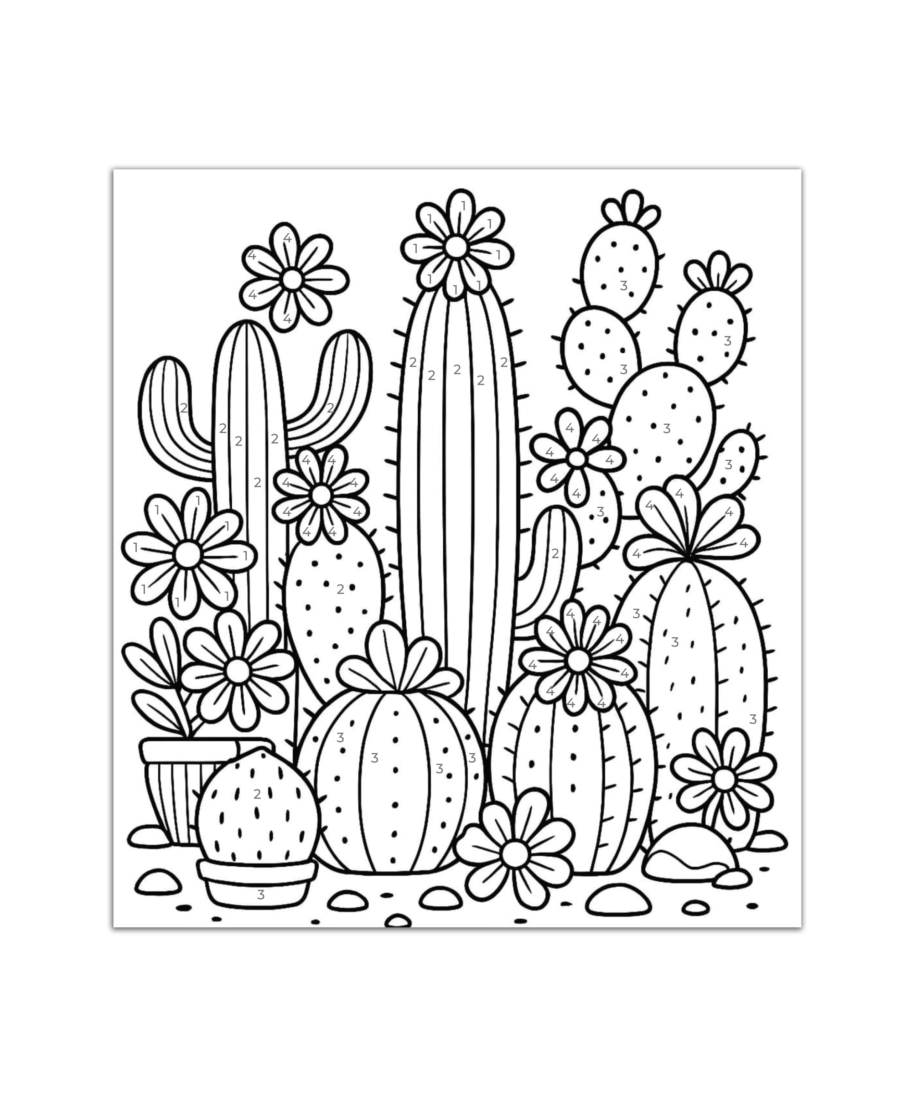 DIY Paint By Numbers Kit Cactus Blooms 8 X 10 inch 1pc