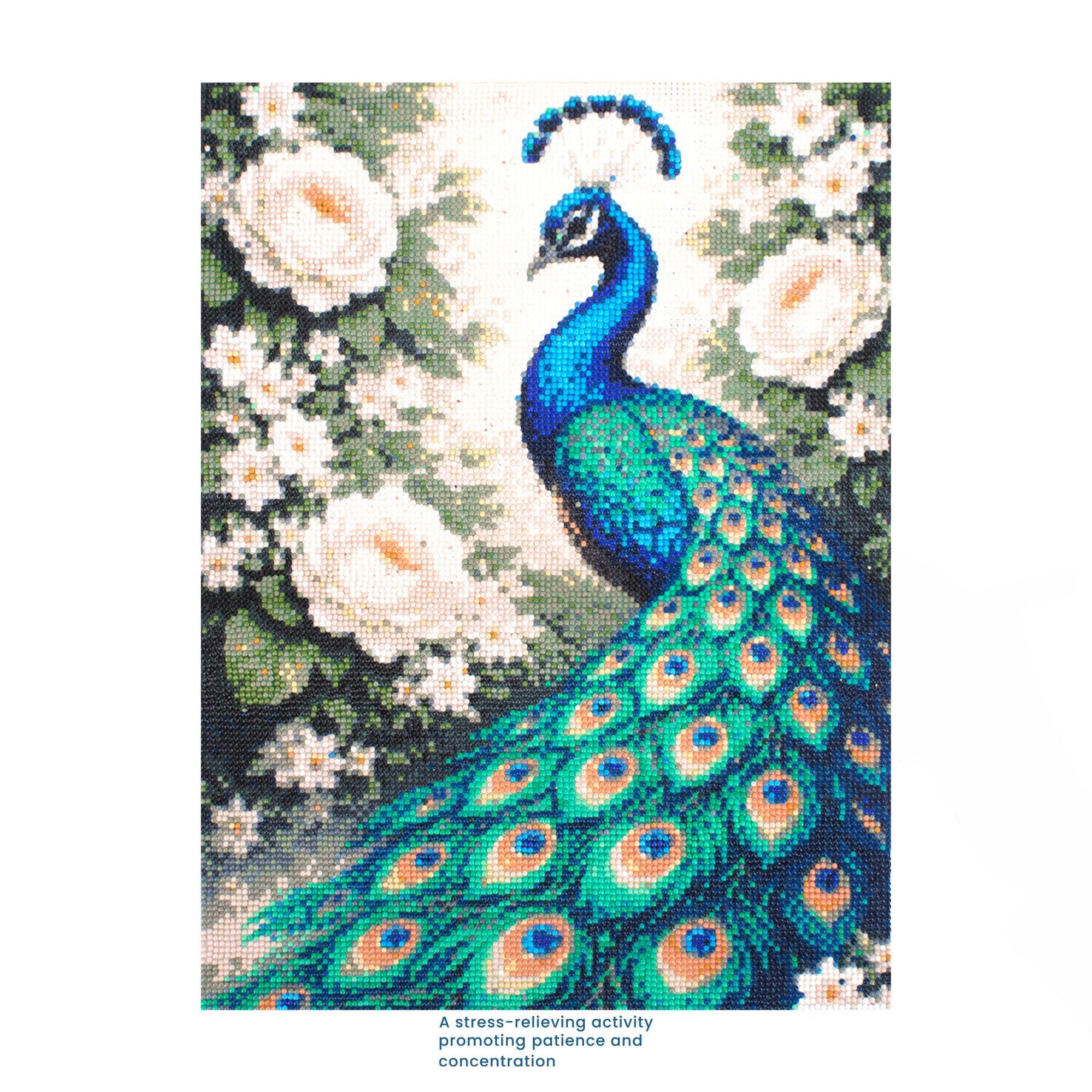 5D Diamond Painting Kit Peacock Garden 40 X 50cm 1pc Acetate Box
