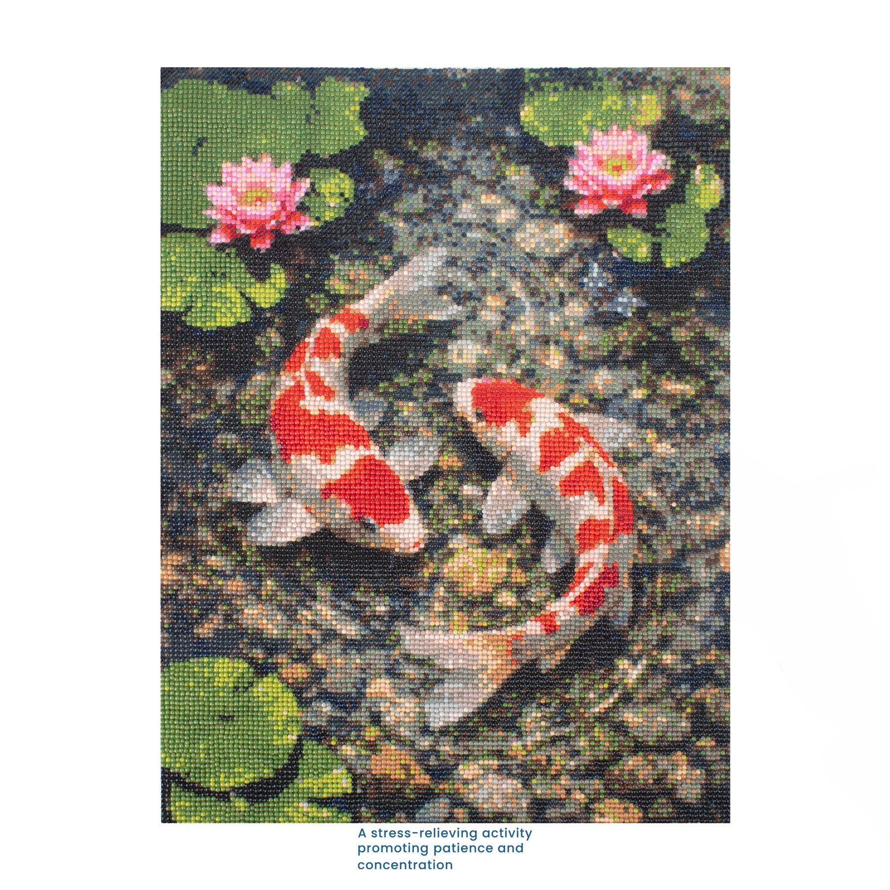 5D Diamond Painting Kit Koi Pond 40 X 50cm 1pc Acetate Box