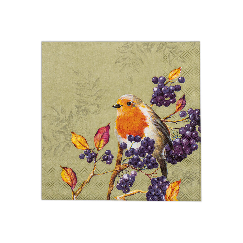 Decoupage Napkin Robin Garden 13 X 13inch 3PLY 1pc
