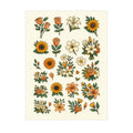 Deco Transfer Sheet Blossom Splendour 9.5inch X 7.5inch 1 Sheet