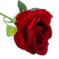 Artificial Flower Rose Red 20inch 1Stem