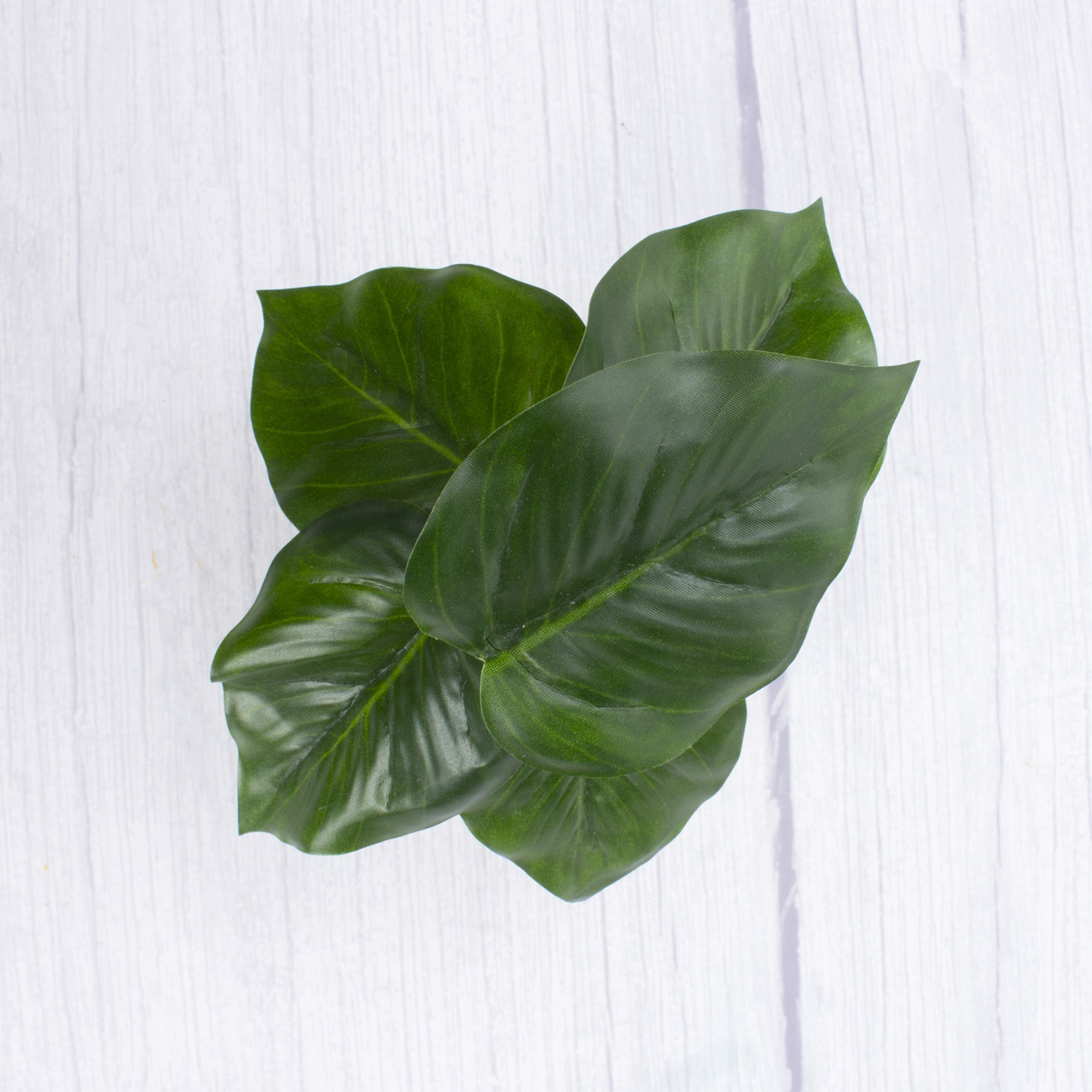 Artificial Green Genie Pothos in pot Dia 7x5inch 1pc