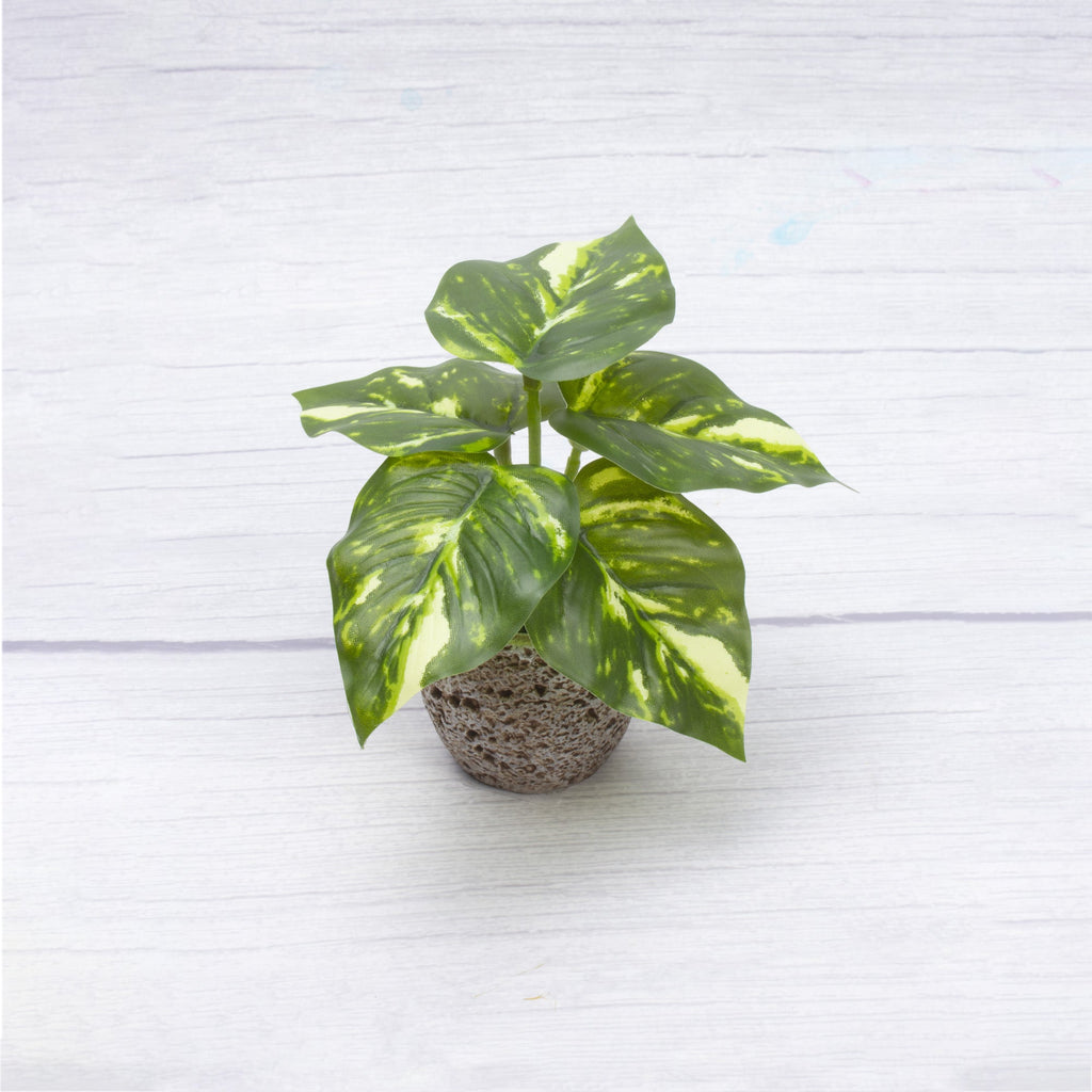 Artificial Jade Pothos in pot Dia 6.5x5inch 1pc