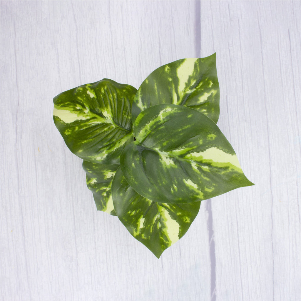 Artificial Jade Pothos in pot Dia 6.5x5inch 1pc