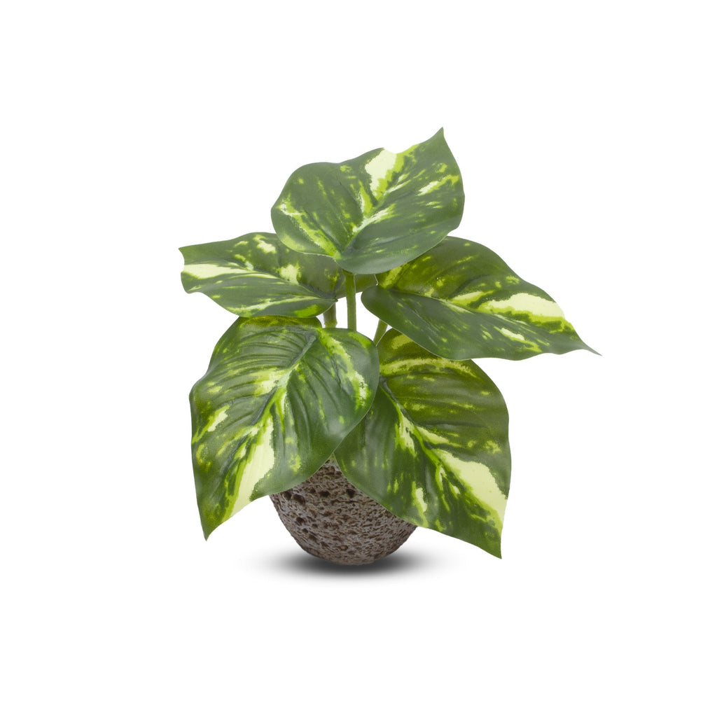 Artificial Jade Pothos in pot Dia 6.5x5inch 1pc