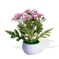 Artificial Flower in Pot Daisy White and pink 8X7inch 1pc