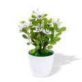 Artificial Flower in Pot Daisy Vine White 9X6.5inch 1pc