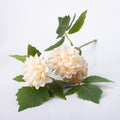 Artificial Flower Dahlia 16cm Cream 1pc
