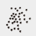 Jewellery Findings Metal Spacer Bead Star Silver 5gm
