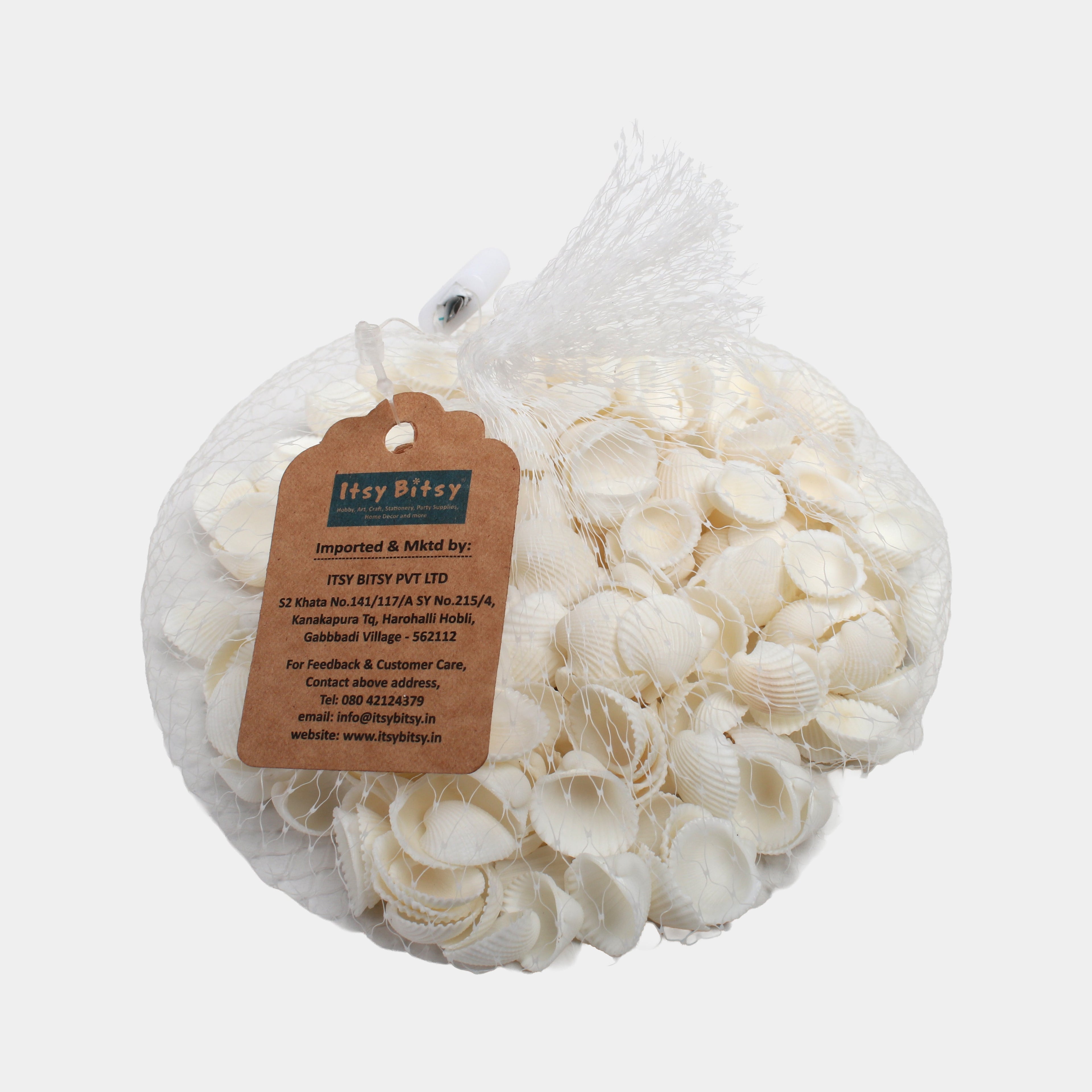 Seashell Ribbed Ark White 100gm Net pouch