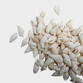 Seashell Cerith White 100gm Net pouch