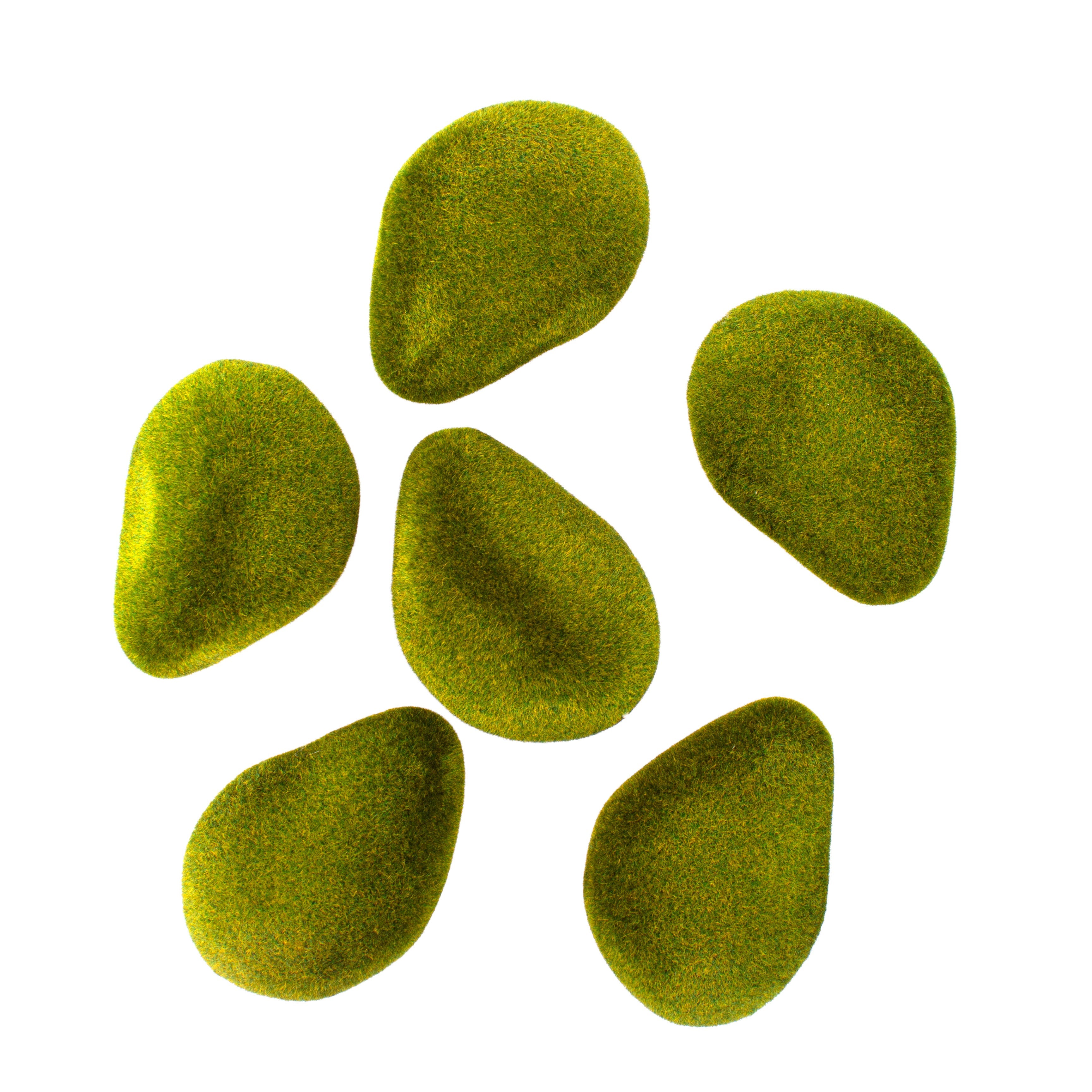 Moss Balls 6Pc