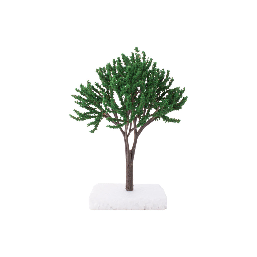 Oak Tree 140Mm 1Pc Box
