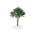 Oak Tree 140Mm 1Pc Box