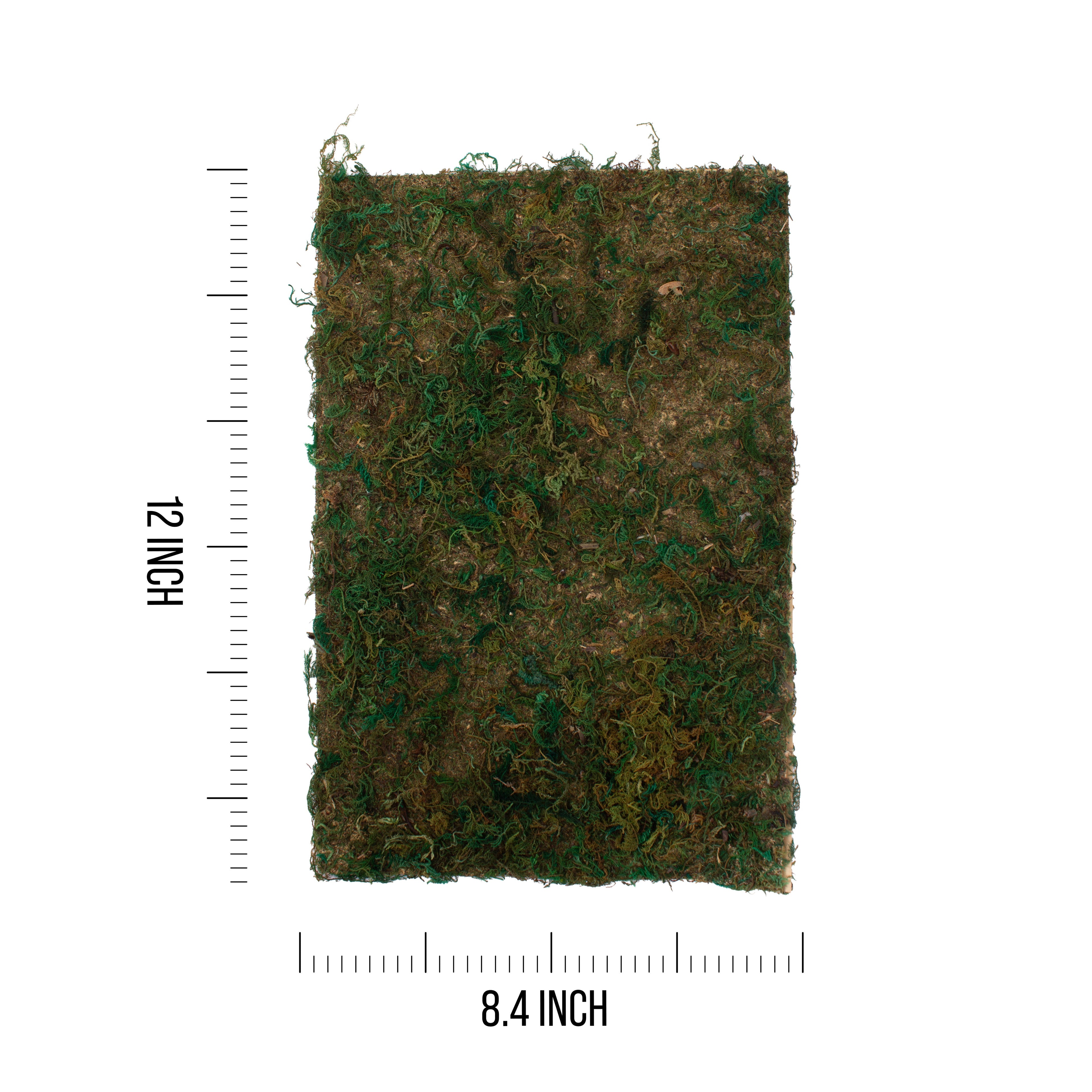 Artificial Moss Green 30 X 40CM 2 Sheets