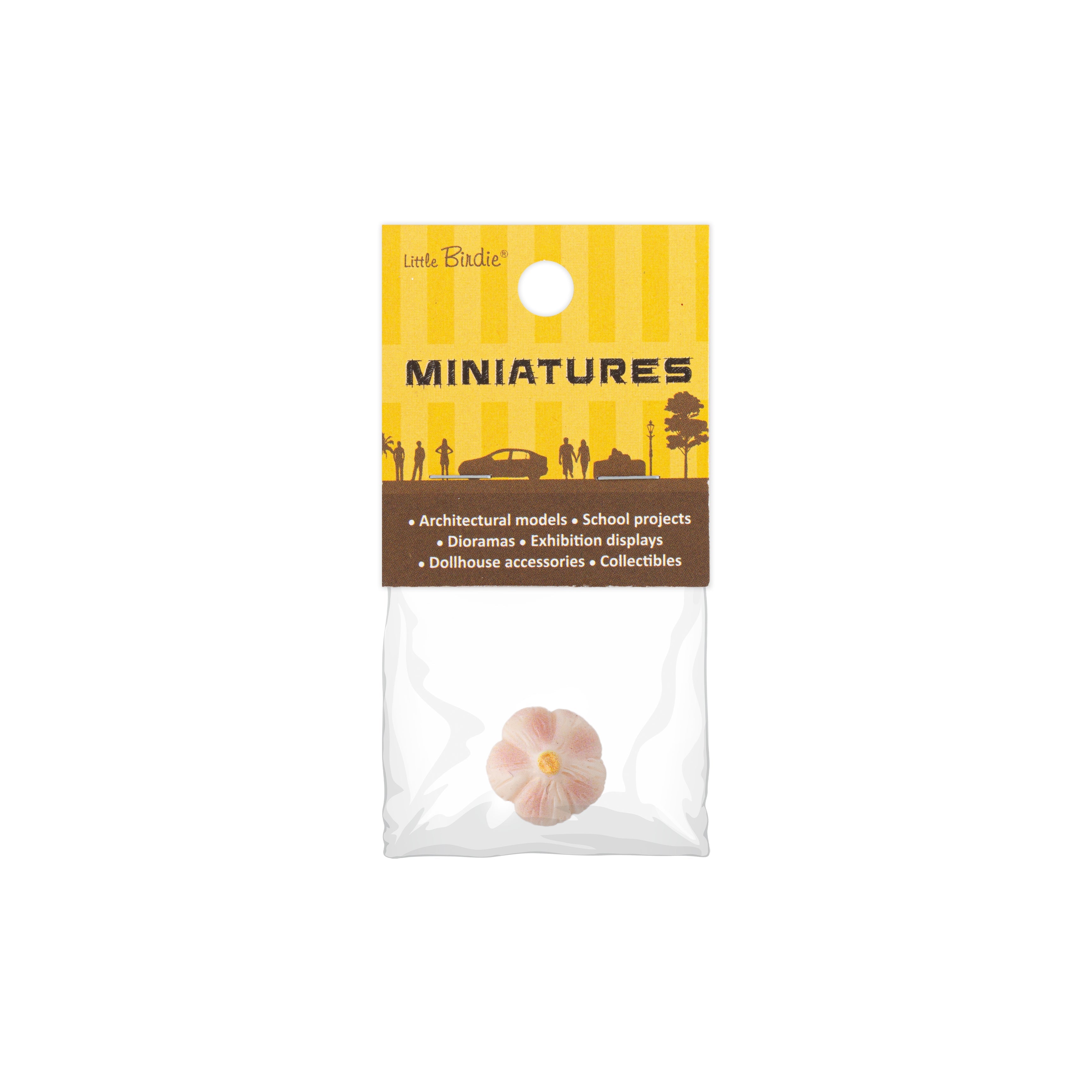 Miniature Garlic 1pc