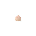 Miniature Garlic 1pc