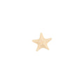 Miniature Star Fish 1pc