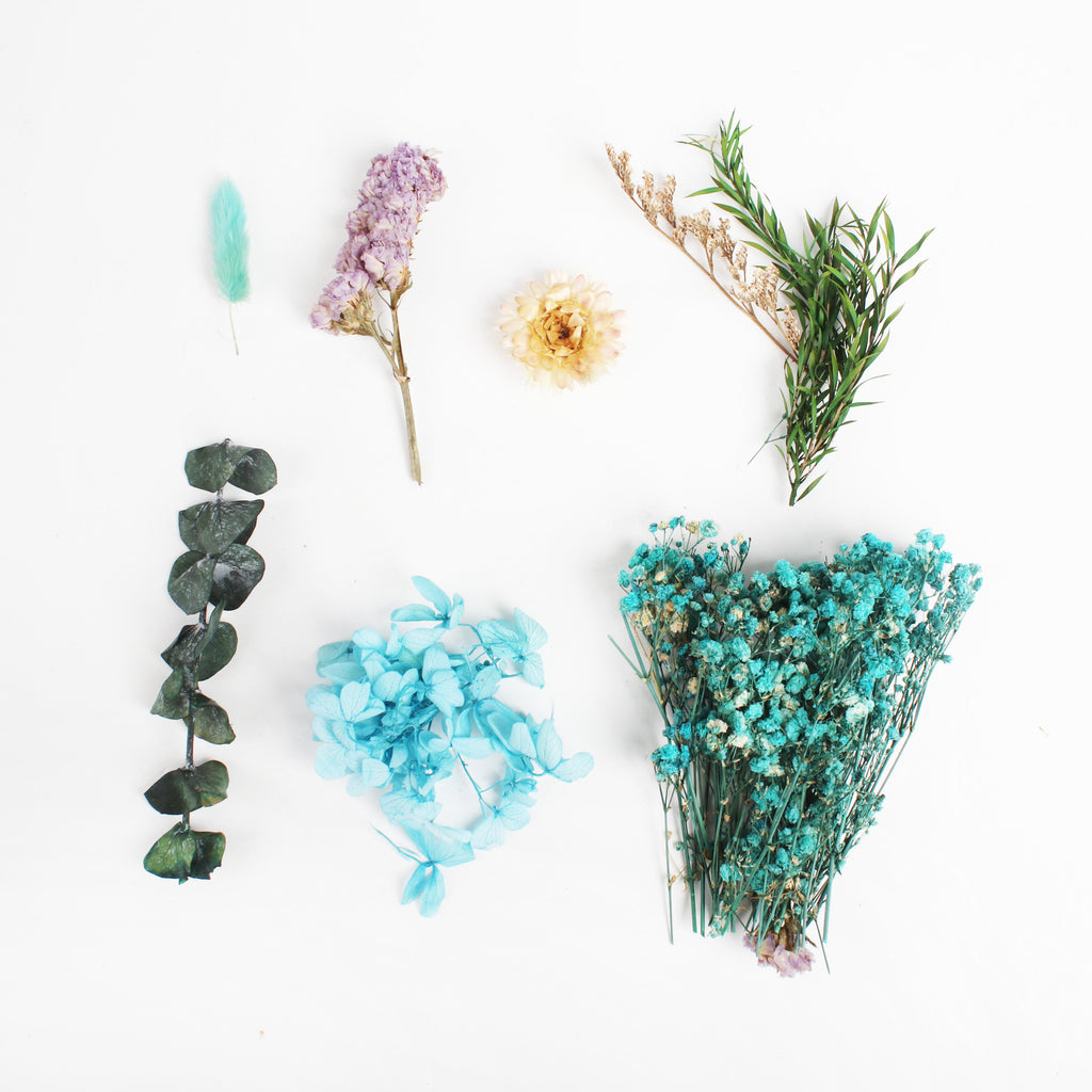 Assorted Natural Dried Flowers Snow Sky 1Box