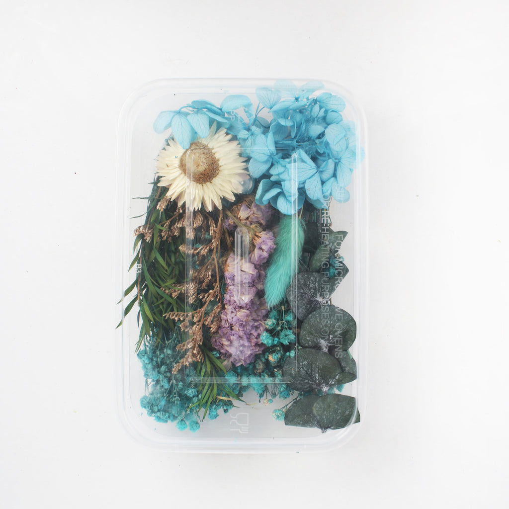 Assorted Natural Dried Flowers Snow Sky 1Box