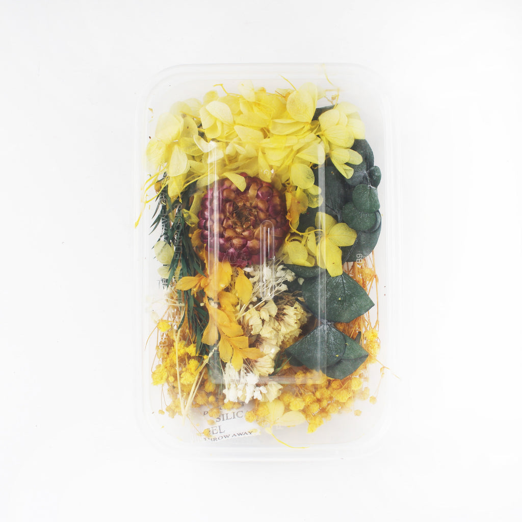 Assorted Natural Dried Flowers Sun And Snow 1Box