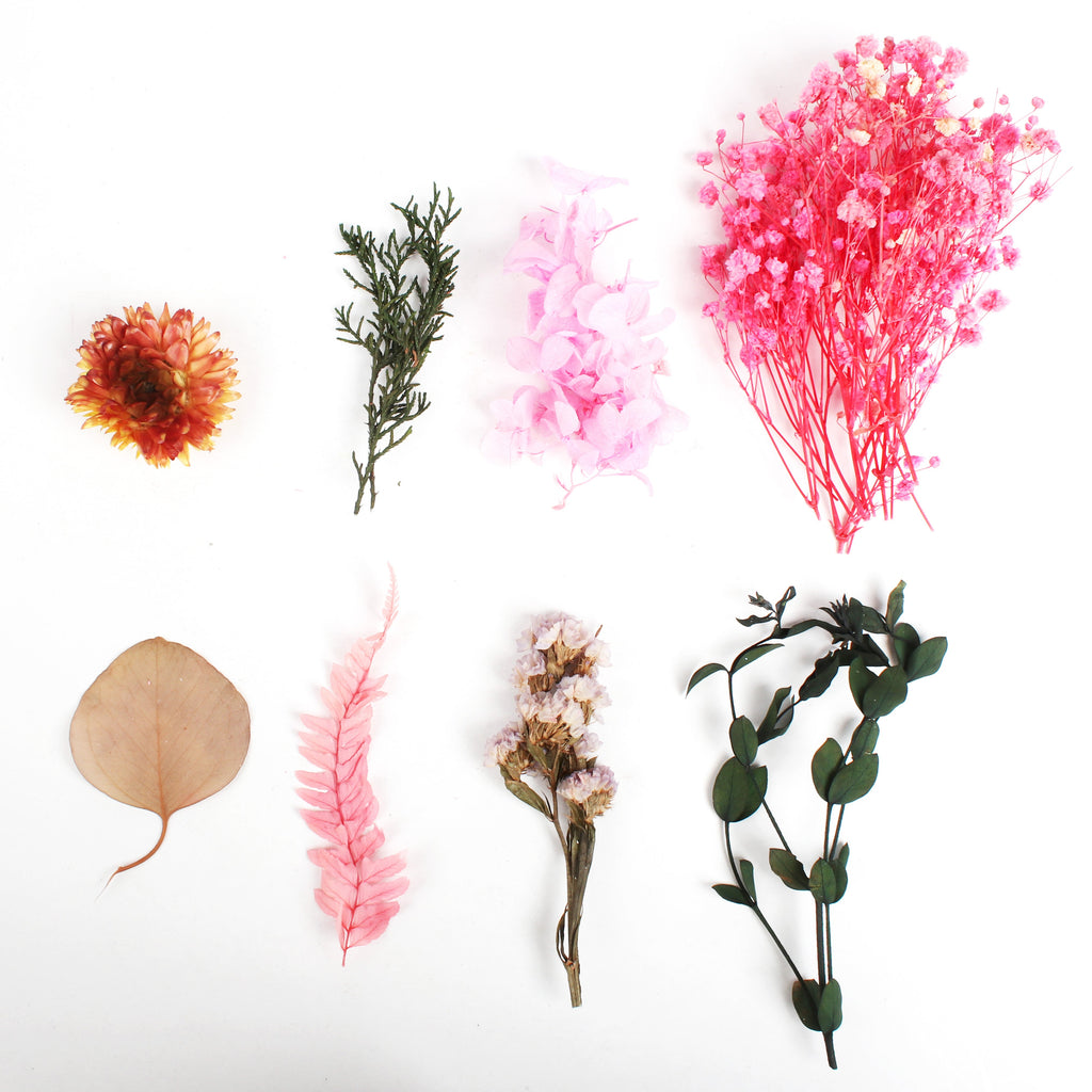 Assorted Natural Dried Flowers Rosy Blooms 1Box