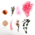 Assorted Natural Dried Flowers Rosy Blooms 1Box
