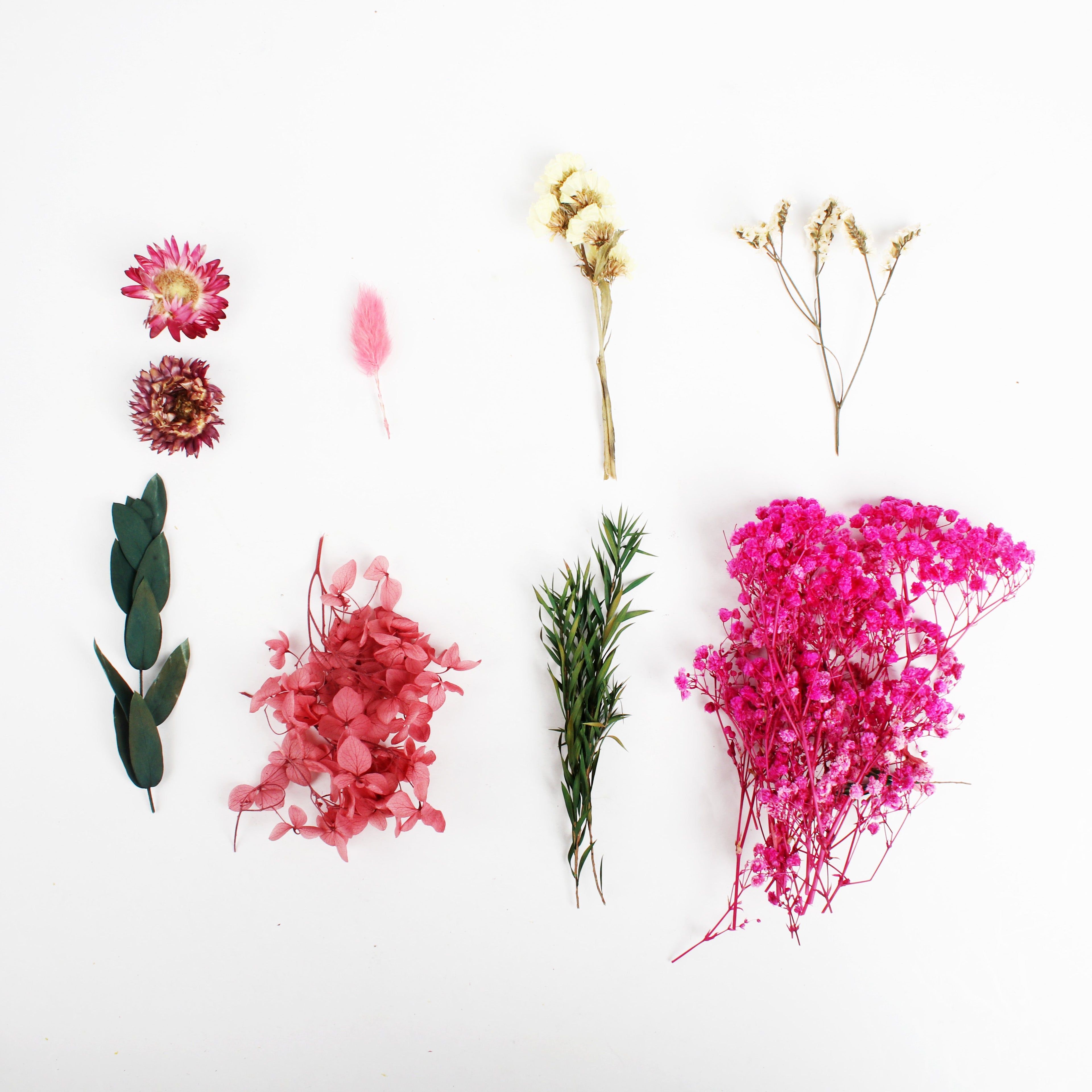 Assorted Natural Dried Flowers Rosy Glow Blossoms 1Box