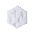 Silicone Mould Sea Life 8.8 X 7.6 D-1.1cm 1pc