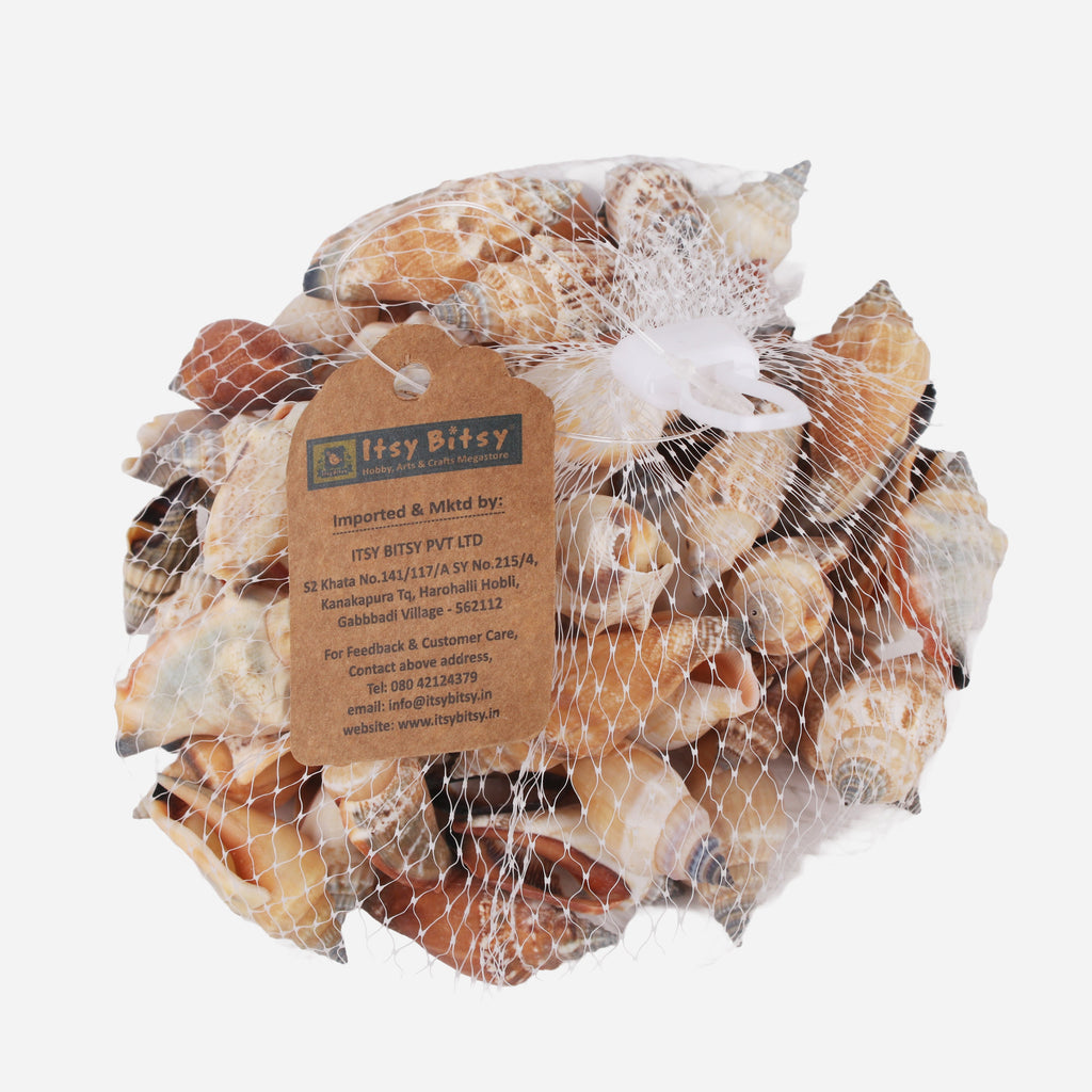 Seashell Coastal Treasures Natural 100gm Net pouch