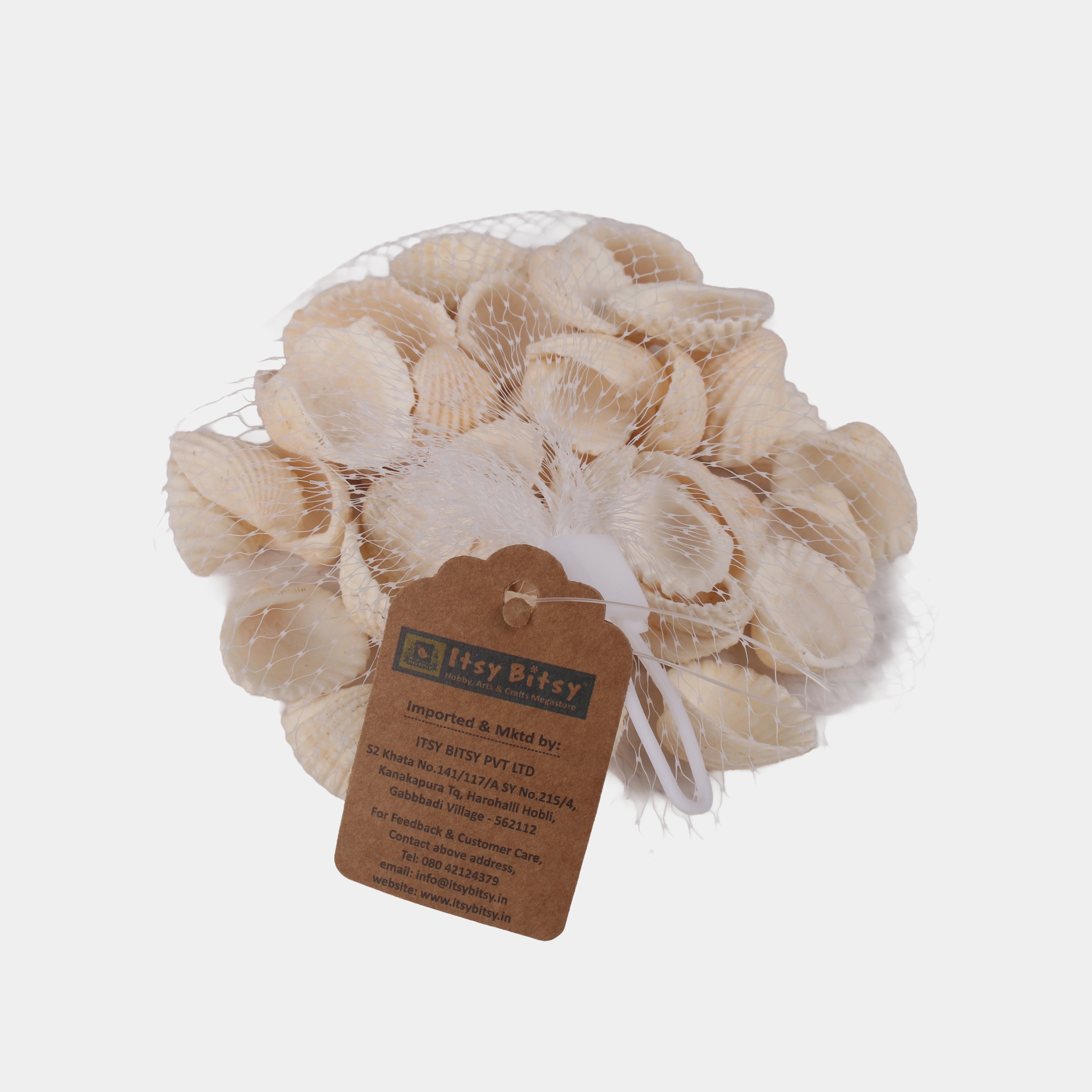 Seashell Ribbed Ark Medium 100gm Net pouch