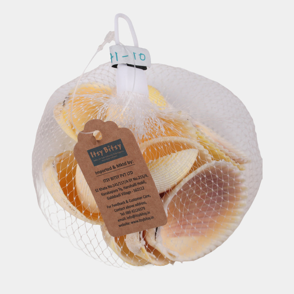 Seashell Ribbed Ark Natural Brown 100gm Net pouch