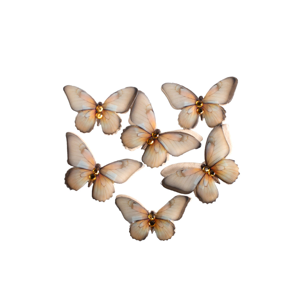Handmade Flowers Graceful Wings Cream Tint 6Pc