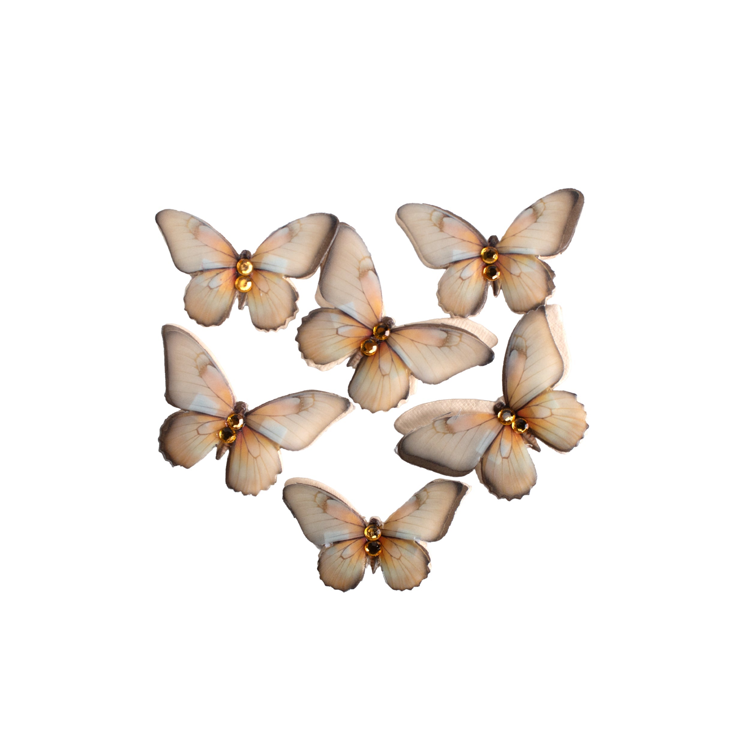 Handmade Flowers Graceful Wings Cream Tint 6Pc