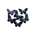 Handmade Flowers Graceful Wings Blue Orchid 6Pc