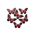 Handmade Flowers Graceful Wings Red Tint 6Pc