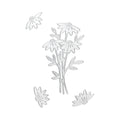 Thin Cut Dies Wild Daisy 4pc