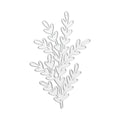 Thin Cut Dies Wild Foliage 9 X 6 1pc