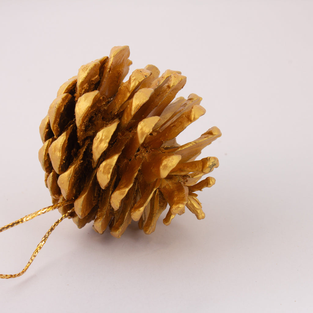 Natural Dried Pine Cone Gold 5-8cms Approx Dia 1 Pc