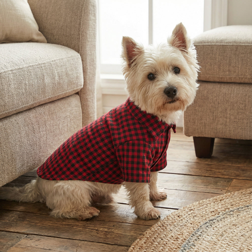 Cotton Dog Shirt Black & Red Gingham Small 3 To 8kg 1pc