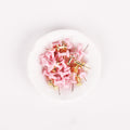 Push Pin Pink 40