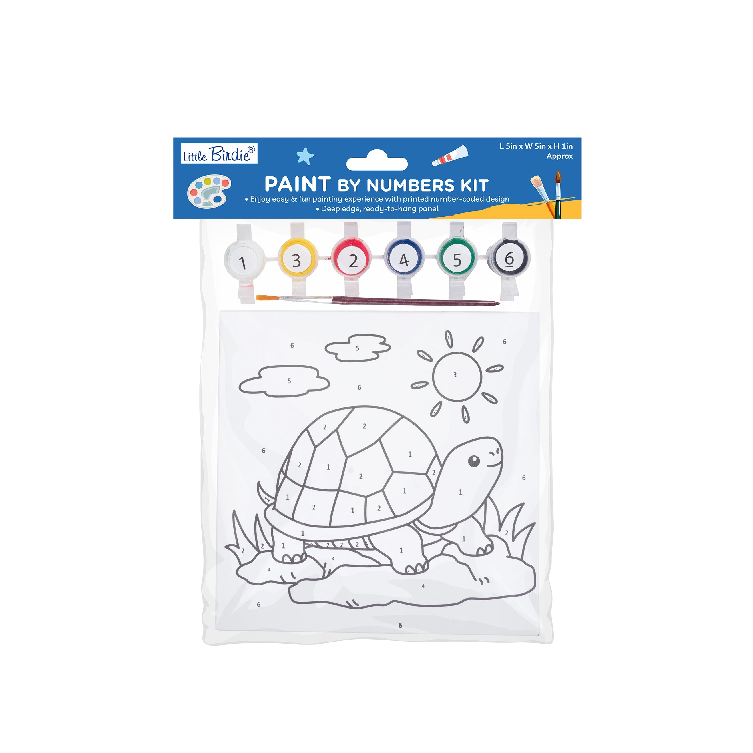 Paint By Numbers Kit - Tortoise, L 5in X W 5in X H 1in, 1pc
