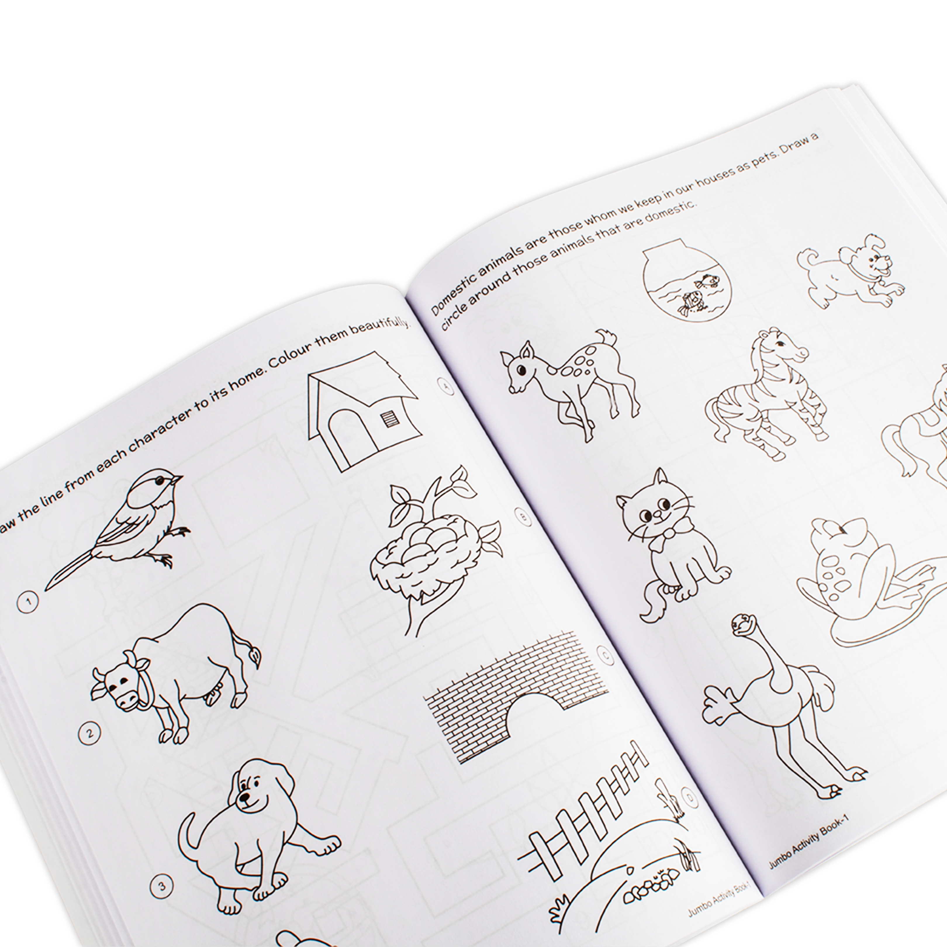 Jumbo Activity Book 1pc