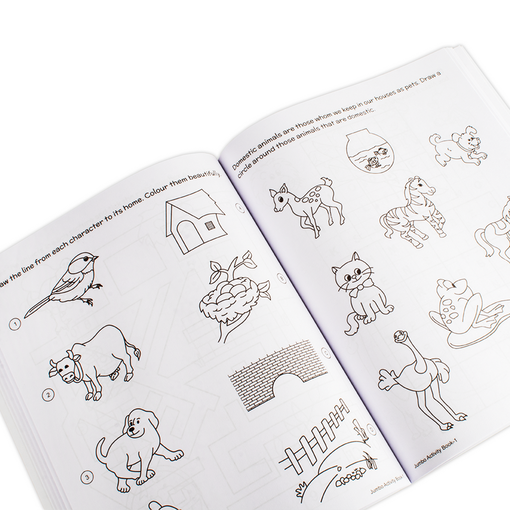 Jumbo Activity Book 1pc