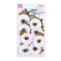 Watercolour Paper Flowers Fancy Daisies 11Pcs