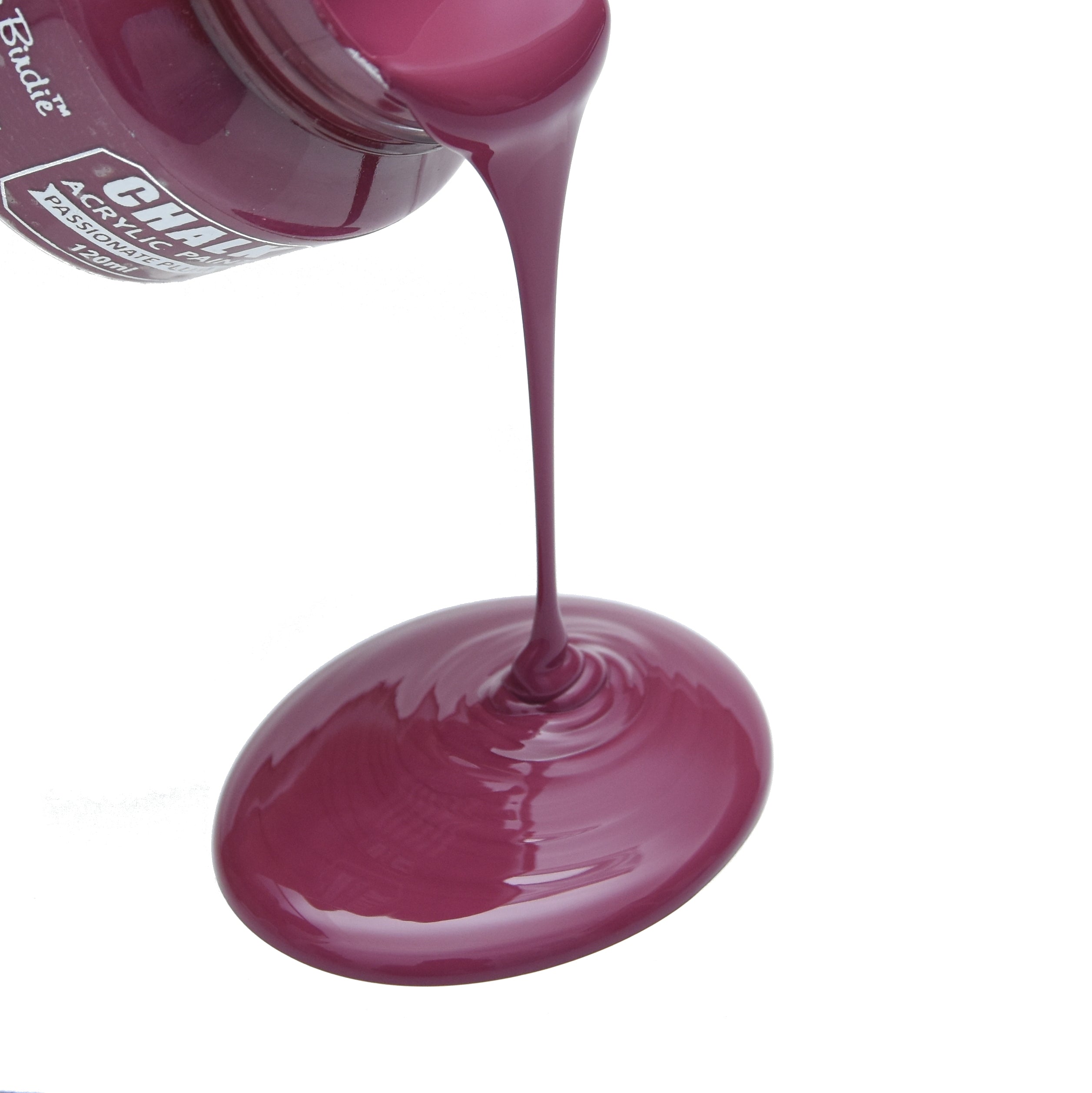 Home Decor Chalk Paint Passionate Plum 120ml Bottle