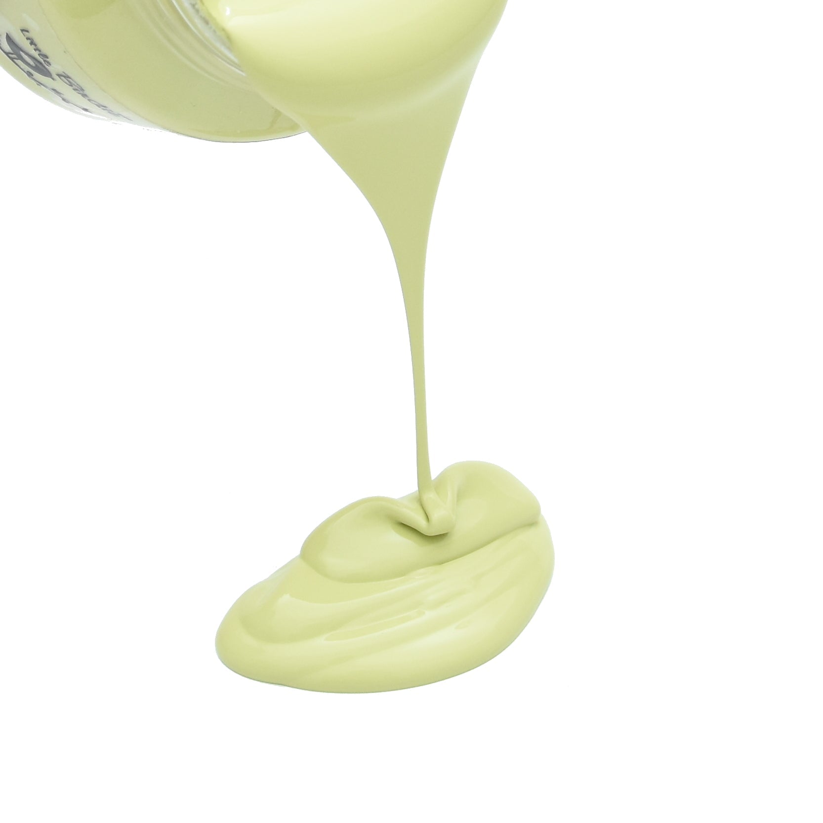 Home Decor Chalk Paint Wild Wasabi 120ml Bottle