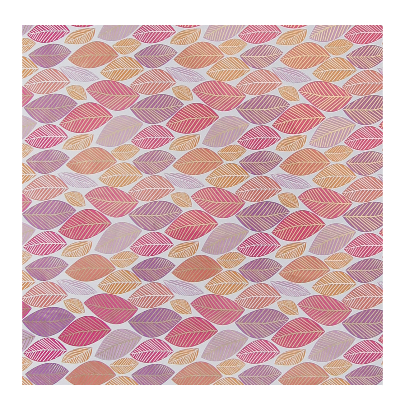 Rosy Delight - Gift Wraps - Pack of 10 (Each Design 2 Sheets)