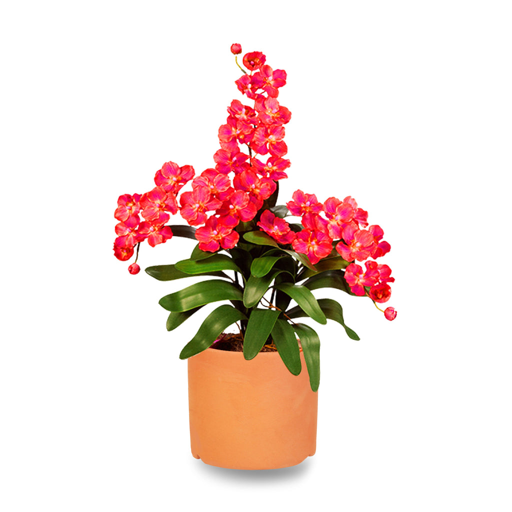 Terracotta Mini Pot - Cylindrical H6.2 X W6.9cm, 1pc